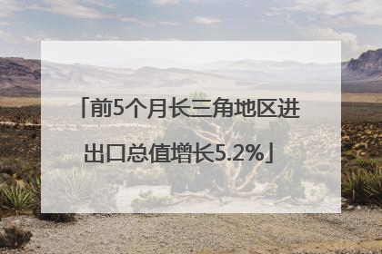 前5个月长三角地区进出口总值增长5.2%