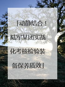 动静结合！陆军某团实战化考核检验装备保养质效