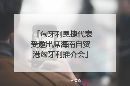 匈牙利恩捷代表受邀出席海南自贸港匈牙利推介会
