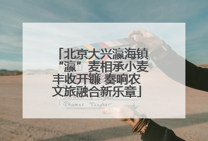 北京大兴瀛海镇“瀛”麦相承小麦丰收开镰 奏响农文旅融合新乐章