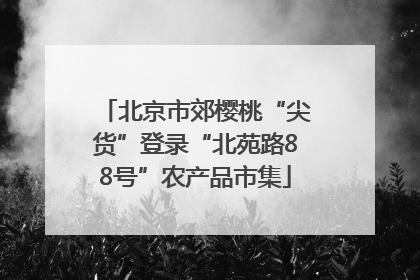 北京市郊樱桃“尖货”登录“北苑路88号”农产品市集