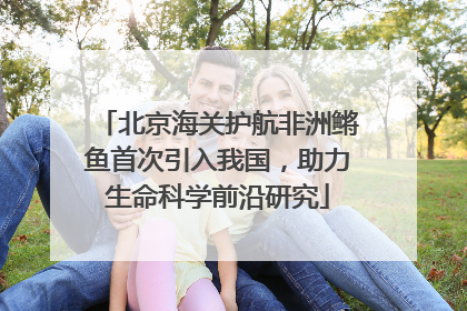 北京海关护航非洲鳉鱼首次引入我国，助力生命科学前沿研究