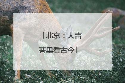 北京：大吉巷里看古今