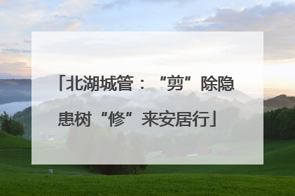 北湖城管：“剪”除隐患树“修”来安居行