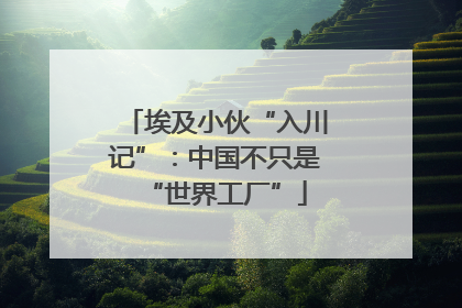 埃及小伙“入川记”：中国不只是“世界工厂”