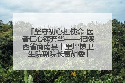 坚守初心担使命 医者仁心铸芳华——记陕西省商南县十里坪镇卫生院副院长贾胡委