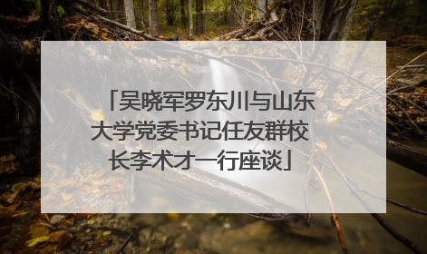 吴晓军罗东川与山东大学党委书记任友群校长李术才一行座谈