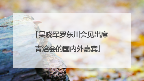 吴晓军罗东川会见出席青洽会的国内外嘉宾