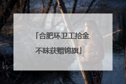 合肥环卫工拾金不昧获赠锦旗