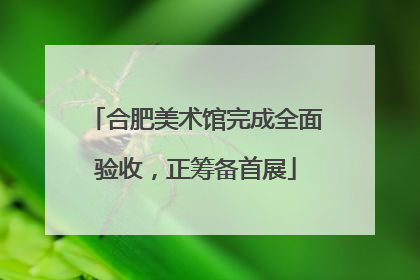 合肥美术馆完成全面验收，正筹备首展