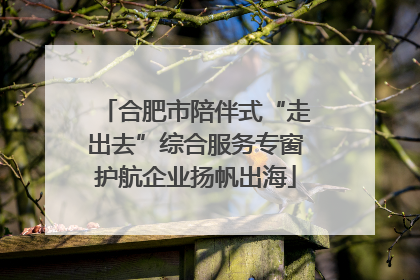 合肥市陪伴式“走出去”综合服务专窗护航企业扬帆出海