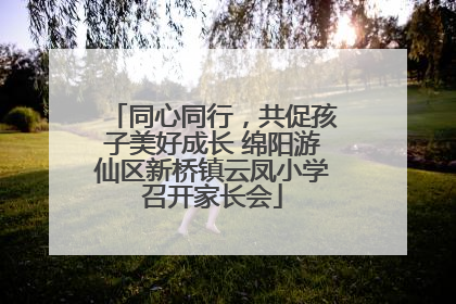 同心同行，共促孩子美好成长 绵阳游仙区新桥镇云凤小学召开家长会