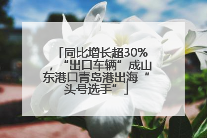 同比增长超30%，“出口车辆”成山东港口青岛港出海“头号选手”