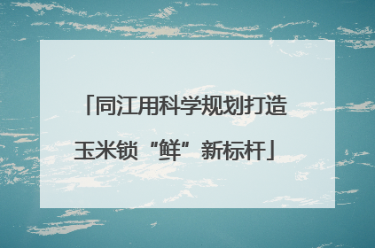 同江用科学规划打造玉米锁“鲜”新标杆