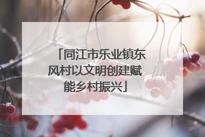 同江市乐业镇东风村以文明创建赋能乡村振兴