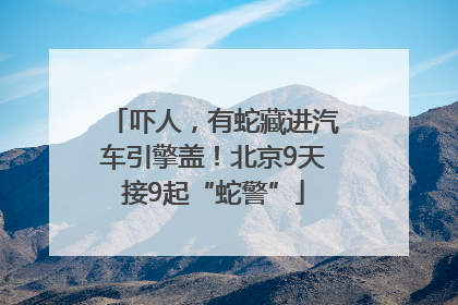 吓人，有蛇藏进汽车引擎盖！北京9天接9起“蛇警”