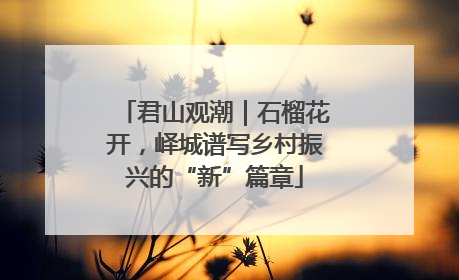 君山观潮｜石榴花开，峄城谱写乡村振兴的“新”篇章