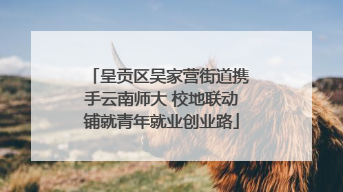 呈贡区吴家营街道携手云南师大 校地联动铺就青年就业创业路