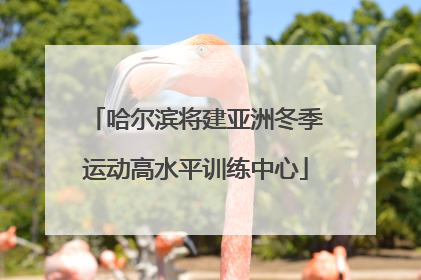 哈尔滨将建亚洲冬季运动高水平训练中心