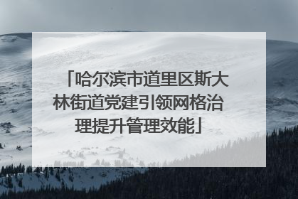 哈尔滨市道里区斯大林街道党建引领网格治理提升管理效能