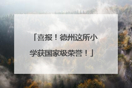 喜报！德州这所小学获国家级荣誉！