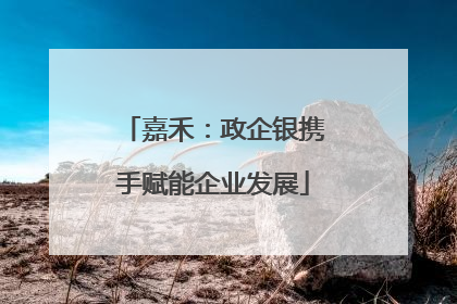 嘉禾：政企银携手赋能企业发展