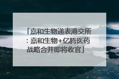 嘉和生物递表港交所：嘉和生物+亿腾医药战略合并即将收官