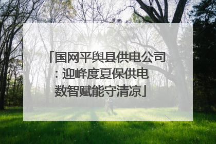 国网平舆县供电公司：迎峰度夏保供电  数智赋能守清凉