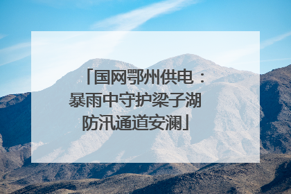 国网鄂州供电：暴雨中守护梁子湖防汛通道安澜