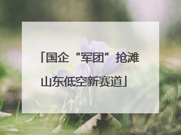 国企“军团”抢滩山东低空新赛道