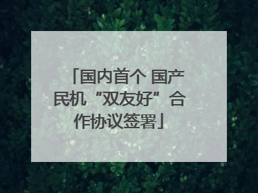 国内首个 国产民机“双友好”合作协议签署