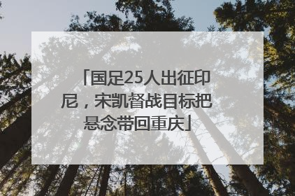 国足25人出征印尼，宋凯督战目标把悬念带回重庆