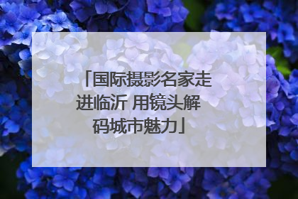 国际摄影名家走进临沂 用镜头解码城市魅力