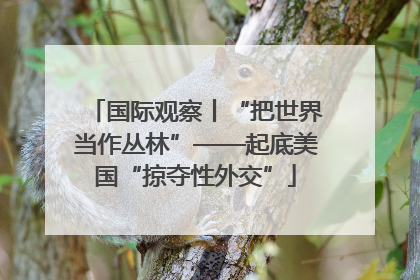 国际观察丨“把世界当作丛林”——起底美国“掠夺性外交”
