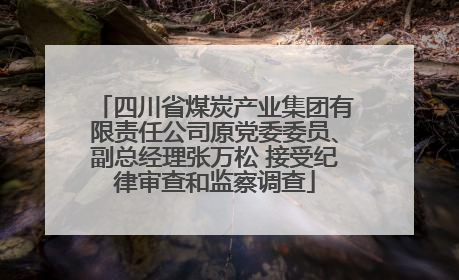 四川省煤炭产业集团有限责任公司原党委委员、副总经理张万松 接受纪律审查和监察调查