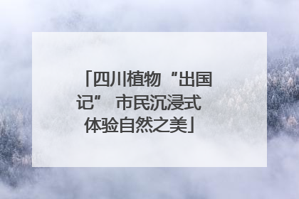 四川植物“出国记” 市民沉浸式体验自然之美