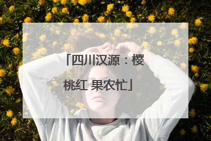 四川汉源：樱桃红 果农忙