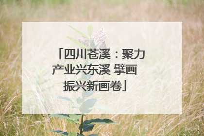 四川苍溪：聚力产业兴东溪 擘画振兴新画卷