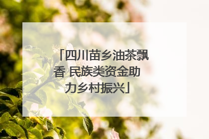 四川苗乡油茶飘香 民族类资金助力乡村振兴