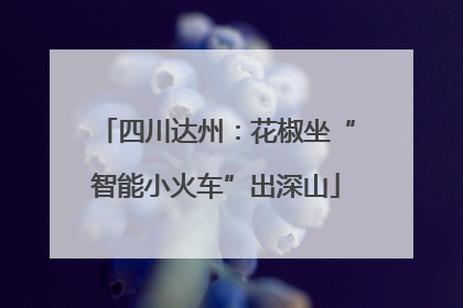 四川达州：花椒坐“智能小火车”出深山