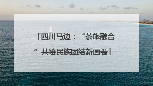 四川马边：“茶旅融合”共绘民族团结新画卷
