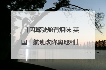 因驾驶舱有烟味 英国一航班改降奥地利