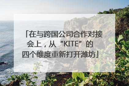 在与跨国公司合作对接会上，从“KITE”的四个维度重新打开潍坊