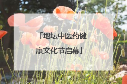 地坛中医药健康文化节启幕