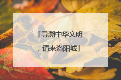 寻溯中华文明，请来洛阳城