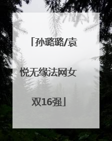 孙璐璐/袁悦无缘法网女双16强