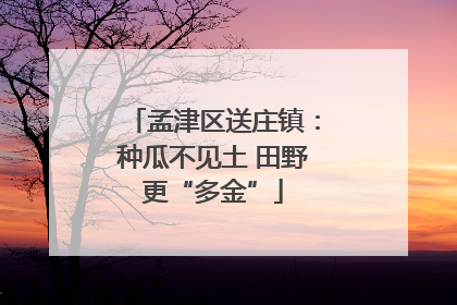 孟津区送庄镇：种瓜不见土 田野更“多金”