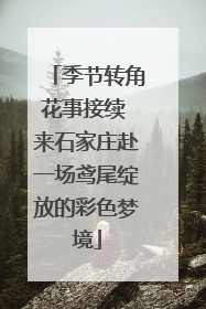 季节转角花事接续 来石家庄赴一场鸢尾绽放的彩色梦境