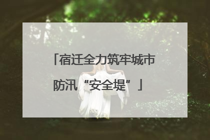 宿迁全力筑牢城市防汛“安全堤”