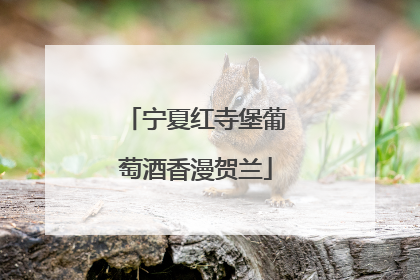 宁夏红寺堡葡萄酒香漫贺兰